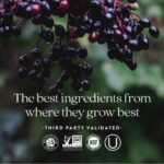 New Chapter Women's Multivitamin for Immune, Beauty + Energy Support with 20+ Nutrients -- Every Woman's One Daily, Gentle on the Stomach, 72 Count - Image 6