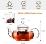 CNGLASS Glass Teapot Stovetop Safe,Clear Teapot with Removable Infuser 20.3 oz,Loose Leaf and Blooming Tea Maker - Image 4