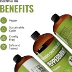 Peppermint Essential Oil, 16 oz Bottle for Diffusers, House Cleaning, Candles, 1 Pack, Aromatherapy Oil - Image 4