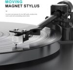 Turntables All-in-1 Vinyl Record Players with 2 Tweeter & 2 Bass HiFi Stereo Speakers Belt Drive Phono Preamp ATN-3600L MM Cartridge BT Wireless Aux-in RCA Line Auto Off Colored Light Strip Pure Black - Image 9