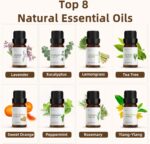 ASAKUKI Essential Oil Diffuser, Aromatherapy Cool Mist Home Humidifier with 7 LED Color Changing Light and Auto-Off Safety Switch, 8 Essential Oils Set, 300ml (Brown with Oils) - Image 7