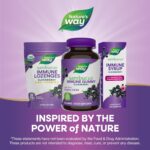 Nature’s Way Sambucus Elderberry Immune Support Gummies for Kids & Adults* with Black Elderberry Extract, Vitamin C, Vitamin D3, and Zinc, 60 Gummies (Packaging May Vary) - Image 9