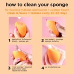 Real Techniques Miracle Complexion Sponge, Makeup Blender for Liquid and Cream Foundation, Full Coverage, Streak-Free Professional Makeup Tool, Cruelty Free, Vegan, Latex Free, 4 Count - Image 14