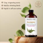 Majestic Pure Eucalyptus Essential Oil with Glass Dropper - Huge 4 Fl Oz - 100% Pure and Natural Eucalyptus Oil - Premium Grade Essential Oils for Diffuser, Aromatherapy, Soap and Candle Making - Image 5