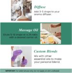 Handcraft Blends Eucalyptus Essential Oil – Huge 4 Fl Oz – 100% Pure and Natural – Premium Grade Essential Oil for Diffuser and Aromatherapy, Skin, Massage, Candle and Soap Making Fragrance - Image 7