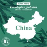 Handcraft Blends Eucalyptus Essential Oil – Huge 4 Fl Oz – 100% Pure and Natural – Premium Grade Essential Oil for Diffuser and Aromatherapy, Skin, Massage, Candle and Soap Making Fragrance - Image 8
