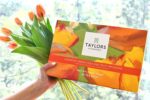 Taylors of Harrogate Green Tea & Herbal Infusions Variety Box, 48 Count - Image 7