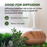 Essential Oils Set (Eucalyptus, Lavender, Lemongrass, Peppermint, Tea Tree, Orange) for Diffuser, Topical Skin, Body, Natural Home Fragrance Gift for Women & Men - Image 4