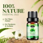 Essential Oils Set, Aromatherapy Essential Oil Kit for Diffuser, Humidifier, Massage, Skin Care (32 x 5ml) - Eucalyptus, Lavender, Tea Tree, Peppermint, Lemongrass, Frankincense, Cinnamon, Sandalwood - Image 9