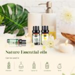 Essential Oils Set, Aromatherapy Essential Oil Kit for Diffuser, Humidifier, Massage, Skin Care (32 x 5ml) - Eucalyptus, Lavender, Tea Tree, Peppermint, Lemongrass, Frankincense, Cinnamon, Sandalwood - Image 10