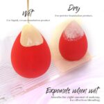 BEAKEY Makeup Sponge Set 5 Pack Micro Porous Low Absorption Soft Latex Free Foundation Beauty Sponges & Blenders for Powder Cream - Image 7