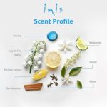 Inis The Energy of The Sea Fragrance Diffuser Set - Diffuser for Home - Reed Diffuser - Reed Diffuser for Home - Scent Diffuser for Home - Oil Diffuser - Essential Oil Diffuser - 3.3 Fluid Ounce - Image 7