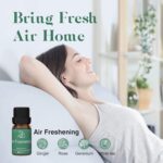 ASAKUKI Essential Oil Blends, Essential Oils for Diffusers for Home, Well-Being Kit- Calm Mind, Sweet Dreams, Happy, Relax, Air Freshening, Immunity for Aromatherapy, Humidifiers, Massage, 6x10ml - Image 4