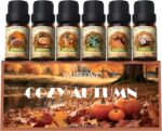 Fall Essential Oil for Diffusers, Autumn Fragrance Oil Set, Aromatherapy Oils Gift Set for Candle Soap Making - Apple Cider, Nutmeg, Snickerdoodle, Vanilla, Forest Pine, Pumpkin Spice, 6x10ml - Image 2