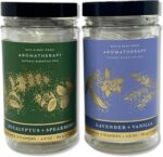 Bath & Body Works - Aromatherapy - Shower Steamers, 6 Tablets Each - 2 Pack Bundle - Lavender Vanilla and Eucalyptus Spearmint - Image 2