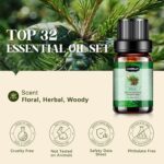 Essential Oils Set, Aromatherapy Essential Oil Kit for Diffuser, Humidifier, Massage, Skin Care (32 x 5ml) - Eucalyptus, Lavender, Tea Tree, Peppermint, Lemongrass, Frankincense, Cinnamon, Sandalwood - Image 3