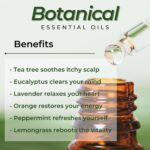 Essential Oils Set (Eucalyptus, Lavender, Lemongrass, Peppermint, Tea Tree, Orange) for Diffuser, Topical Skin, Body, Natural Home Fragrance Gift for Women & Men - Image 5