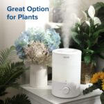 LEVOIT Humidifiers for Bedroom, Quiet (3L Water Tank) Cool Mist Top Fill Essential Oil Diffuser with 25Watt for Home Large Room, 360° Nozzle, Rapid Ultrasonic Humidification for Baby Nursery and Plant - Image 8