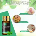 Tea Tree 20 Pcs Pure Essential Oil Gift Set, for Diffuser, Humidifiers, Skin Care, Massage, Fragrance Oil Scent for DIY Candle and Soap Making, Gift for Friend (5ML) - Image 6