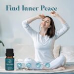 ASAKUKI Essential Oil Blends, Essential Oils for Diffusers for Home, Well-Being Kit- Calm Mind, Sweet Dreams, Happy, Relax, Air Freshening, Immunity for Aromatherapy, Humidifiers, Massage, 6x10ml - Image 5