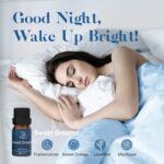 ASAKUKI Essential Oil Blends, Essential Oils for Diffusers for Home, Well-Being Kit- Calm Mind, Sweet Dreams, Happy, Relax, Air Freshening, Immunity for Aromatherapy, Humidifiers, Massage, 6x10ml - Image 3