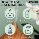 UpNature Breathe Essential Oil - Huge 2oz - Essential Oils for Diffusers Humidifiers Spa Respiratory Menthol Blend - Image 6