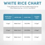 Aroma Housewares 6-Cup (Cooked) (3-Cup UNCOOKED) Pot-Style Rice Cooker (ARC-743G) , White - Image 6