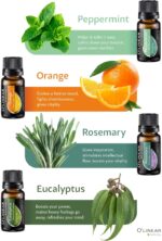 Top 8 Essential Oils Set for Diffuser for Home Aromatherapy Kit with Lavender, Peppermint, Eucalyptus, Tea Tree, Rosemary, Orange, Relief and Sweet Dreams Blends for Humidifiers Natural Pack - Image 6