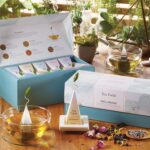 Tea Forte Wellbeing Assorted Presentation Box Tea Gift Set, 20 Count, 2 of Each Variety Individually Wrapped Handcrafted Pyramid Infuser Bags - Image 7