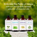 Majestic Pure Peppermint Essential Oil with Glass Dropper - Huge 4 Fl Oz - 100% Pure and Natural Peppermint Oil - Premium Grade Essential Oils for Diffuser, Aromatherapy, Soap and Candle Making - Image 9