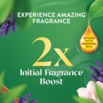 Air Wick Essential Mist Starter Kit, Diffuser + 1 Refill, Lavender and Almond Blossom, Air Freshener, Essential Oils - Image 3