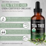 Tea Tree Essential Oil by Fiora Naturals - 100% Pure Organic Oil, for Face, Hair, Skin, Acne, Scalp, Foot and Toenails, Melaleuca Alternifolia - Image 3