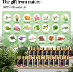 Tea Tree 20 Pcs Pure Essential Oil Gift Set, for Diffuser, Humidifiers, Skin Care, Massage, Fragrance Oil Scent for DIY Candle and Soap Making, Gift for Friend (5ML) - Image 3