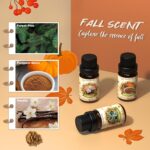 Fall Essential Oil for Diffusers, Autumn Fragrance Oil Set, Aromatherapy Oils Gift Set for Candle Soap Making - Apple Cider, Nutmeg, Snickerdoodle, Vanilla, Forest Pine, Pumpkin Spice, 6x10ml - Image 4