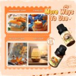 Fall Essential Oil for Diffusers, Autumn Fragrance Oil Set, Aromatherapy Oils Gift Set for Candle Soap Making - Apple Cider, Nutmeg, Snickerdoodle, Vanilla, Forest Pine, Pumpkin Spice, 6x10ml - Image 7