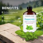 Majestic Pure Peppermint Essential Oil with Glass Dropper - Huge 4 Fl Oz - 100% Pure and Natural Peppermint Oil - Premium Grade Essential Oils for Diffuser, Aromatherapy, Soap and Candle Making - Image 5