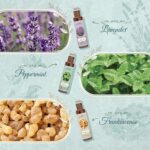 Essential Oils Roll on Set, Aromatherapy Oils with Roller Ball for Skin, Natural Essential Oil Roller Gift Set with Lavender, Peppermint, Frankincense, Eucalyptus, Lemon, Myrrh - Image 3