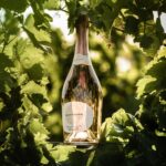 French Bloom Le Rosé, 0.0% Alcohol-Free Sparkling Wine, 750ml - Certified Organic, Vegan, Low Calorie, Pregnancy Friendly, Sulfite-Free - Made with Fine Organic Wine, No Preservatives or Added Sugar - Image 7