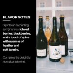 Oddbird GSM Non Alcoholic Red Wine, Gluten Free, Non-Alcoholic Dry Red Wine, Zero Proof with Dealcoholized Grapes from South of France, Acidic Earthy Notes with Fruit Touches. 25.4 fl oz Bottle - Image 6