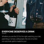 Oddbird GSM Non Alcoholic Red Wine, Gluten Free, Non-Alcoholic Dry Red Wine, Zero Proof with Dealcoholized Grapes from South of France, Acidic Earthy Notes with Fruit Touches. 25.4 fl oz Bottle - Image 8