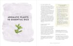 The Ultimate Guide to Aromatherapy: An Illustrated guide to blending essential oils and crafting remedies for body, mind, and spirit (Volume 9) (The Ultimate Guide to..., 9) - Image 4