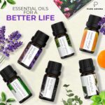 Essential Oils Set by Pure Aroma - Top 6 Aromatherapy Oils Gift Set-6 Pack, 10ml (Eucalyptus, Lavender, Lemongrass, Sweet Orange, Peppermint, Tea Tree) - Image 3
