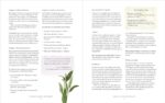 The Ultimate Guide to Aromatherapy: An Illustrated guide to blending essential oils and crafting remedies for body, mind, and spirit (Volume 9) (The Ultimate Guide to..., 9) - Image 6