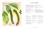 The Ultimate Guide to Aromatherapy: An Illustrated guide to blending essential oils and crafting remedies for body, mind, and spirit (Volume 9) (The Ultimate Guide to..., 9) - Image 7