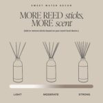 Sweet Water Decor Salt & Sea Reed Diffuser Set - Sea Salt Citrus & Musk Amber Scent Diffuser - Reed Diffusers for Home with Long Lasting Fragrance - Non-Toxic Oil Reed Diffuser - Made in the USA - Image 8