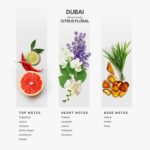 AromaPlan Hotel Scents Dubai 16 Fl Oz (473ml), Home Luxury Aroma & Hotel Diffuser Oil- Hotel Diffuser Oil for Aromatherapy- USA Made, Bigger Bottle, Bolder Aroma & Longer Lasting - Image 3