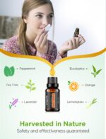 InnoGear Essential Oil Diffuser with Oils, 100ml Aromatherapy Diffuser with 6 Essential Oils Set, Aroma Cool Mist Humidifier Gift Set, Dark Wood Grain - Image 5