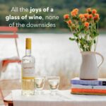 Tomorrow Cellars Non-Alcoholic Rhône Blanc, White Wine, Dry and Crisp, Low Sugar and Calories, Award-Winning, De-Alcoholized from Northern California, 24.5 FL Oz Bottle - Image 8