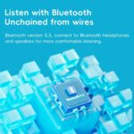 SnowSky/FiiO Echo MINI HiFi Bluetooth MP3 Player, 15Hours Playback, Independent Volume Control with 3.5mm/4.4mm Headphones Outputs (Titanium Gold) - Image 7