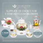 Teabloom 100% Plastic-Free Large Multi-Brew Borosilicate Glass Teapot + Kettle + Pitcher – Steep and Serve Hot Tea, Iced Tea, Cold Brew Tea and Fruit Infused Water – Legacy Tea Maker - Image 10